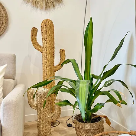 T3 6 Personnes De 60m2 Au Coeur De Ville, Terrasse Et Parking Gratuit * Сен-Рафаэль