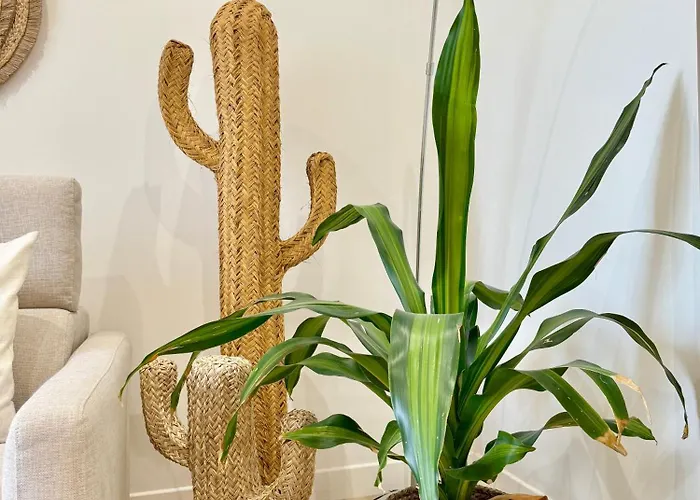 T3 6 Personnes De 60m2 Au Coeur De Ville, Terrasse Et Parking Gratuit * Saint-Raphaël